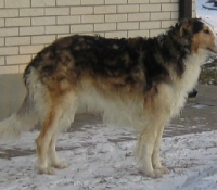 a004