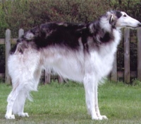 a006