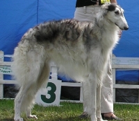 azov01