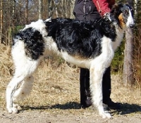 c009
