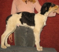 c020