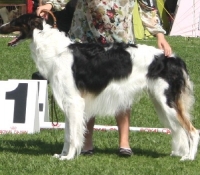 d011