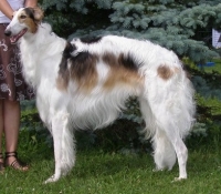 d012