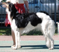 charo01