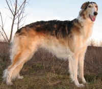 ec06