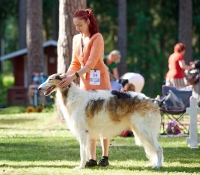 hedonsktartumaa