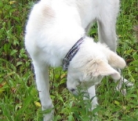 b02