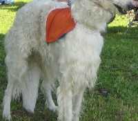 m15