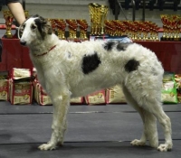 iz06