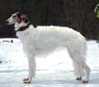 dolina01