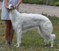dolina01u