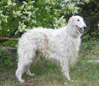 u06-28