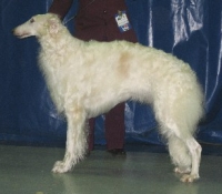 u06-29