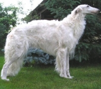 u07-28