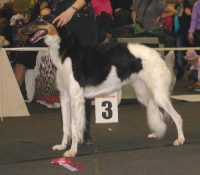u10-23