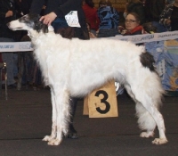 u10-30
