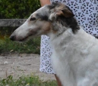 dolina09