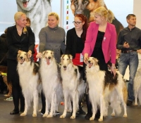 u17-005