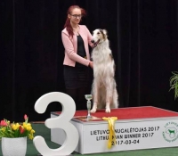 u17-021